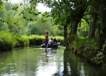 Embarcadère Cardinaud   Marais Poitevin   Collective